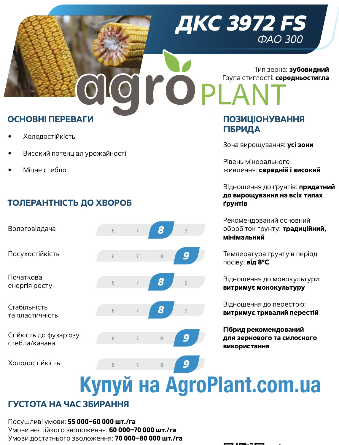 Кукурудза ДКС 3972 Монсанто