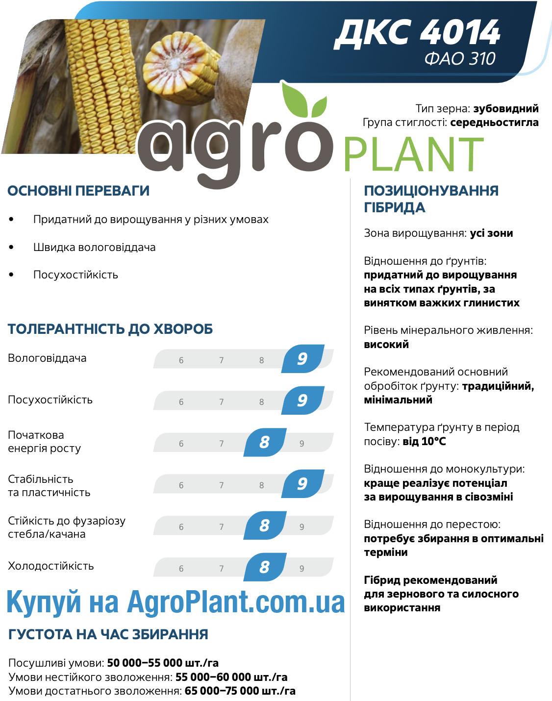 Кукурудза ДКС 4014 Монсанто