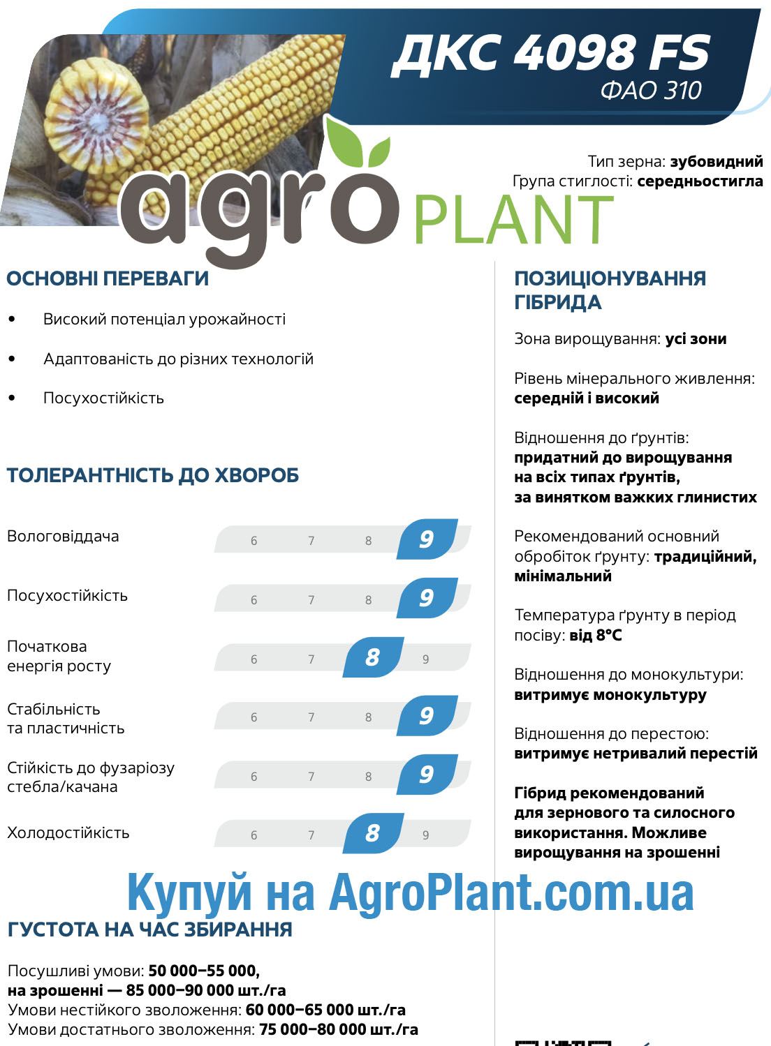 Кукурудза ДКС 4098 Монсанто
