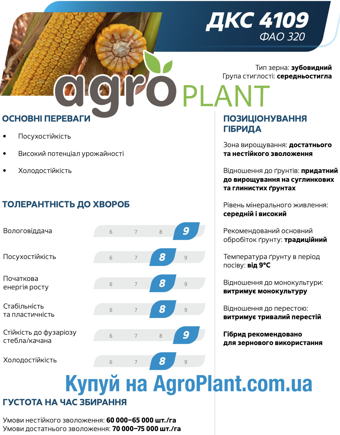Кукурудза ДКС 4109 Монсанто