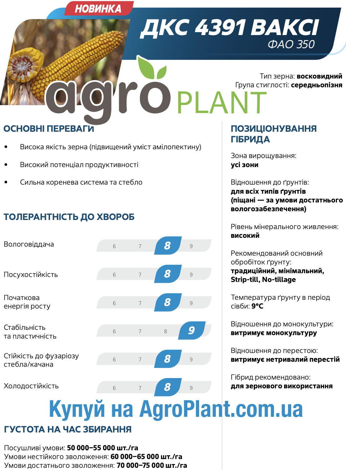 Кукурудза ДКС 4391 ВАКСІ Монсанто