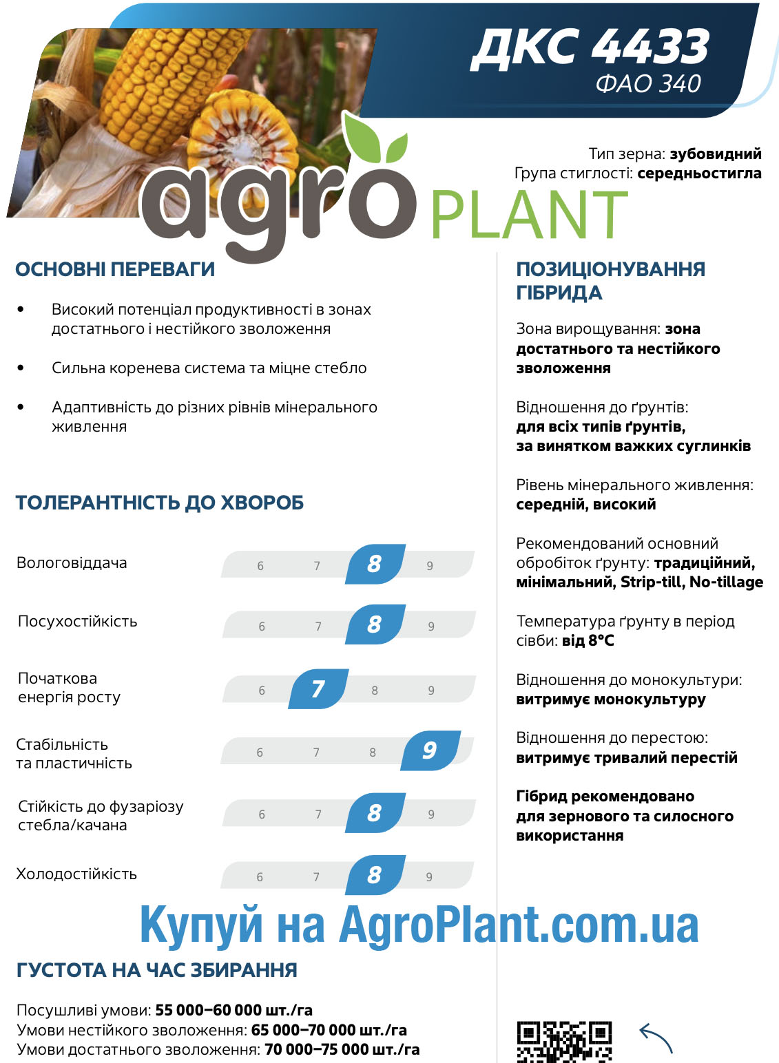 Кукурудза ДКС 4433 Монсанто