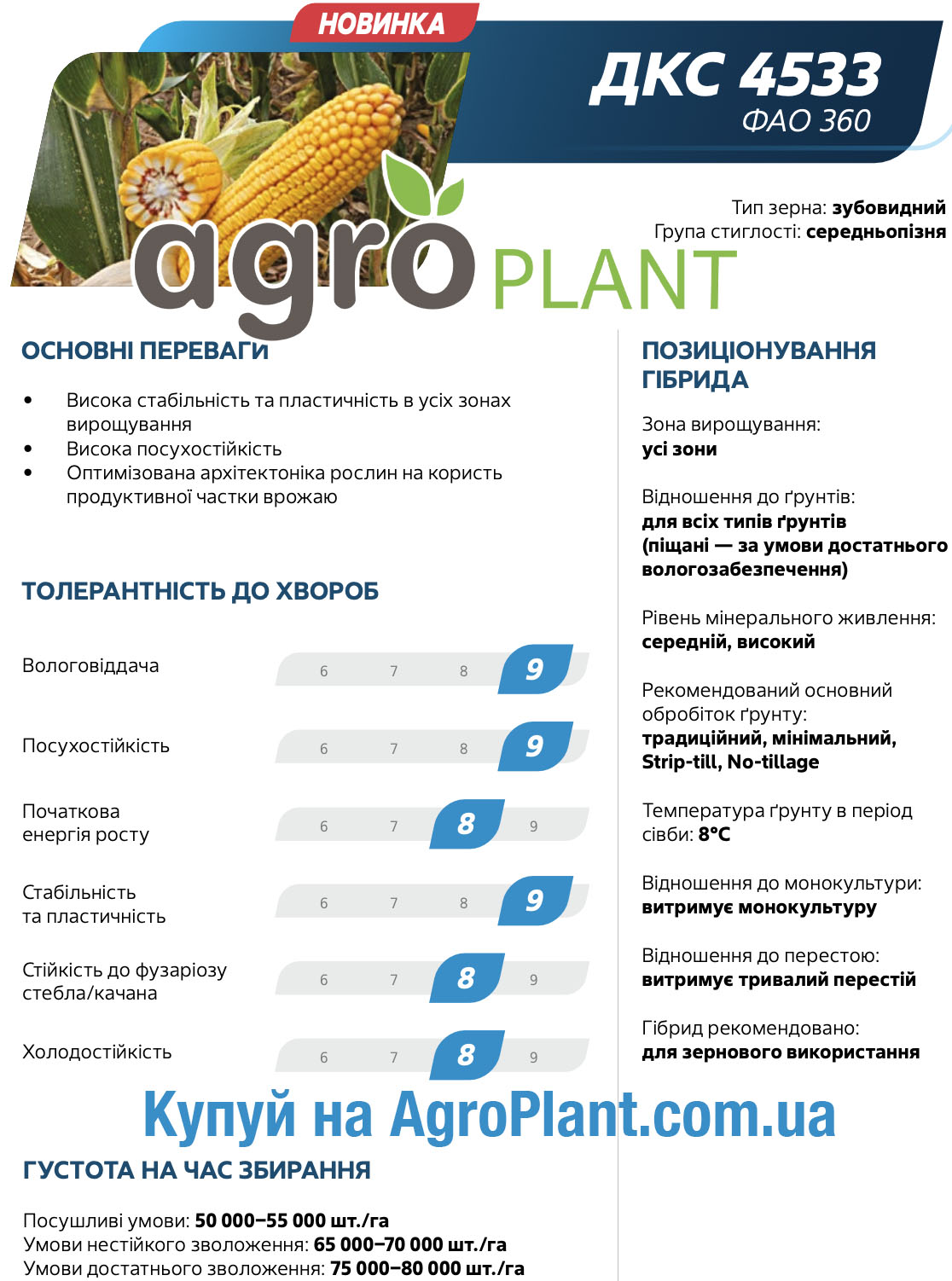 Кукурудза ДКС 4533 Монсанто