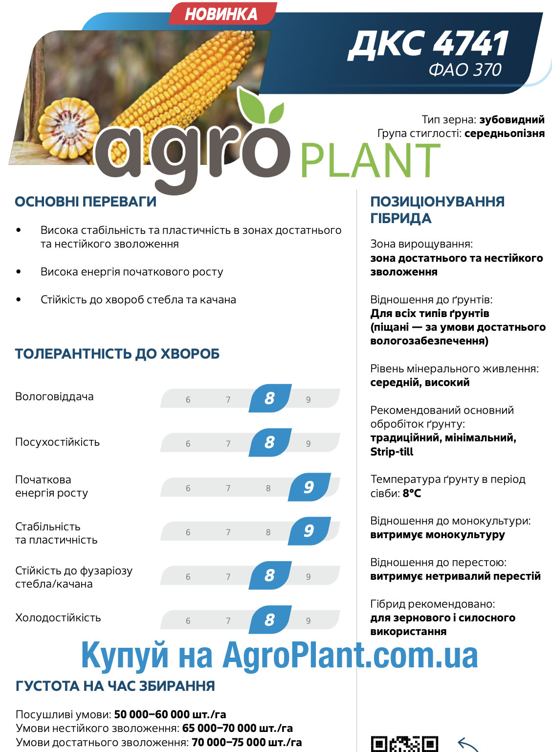 Кукурудза ДКС 4741 Монсанто