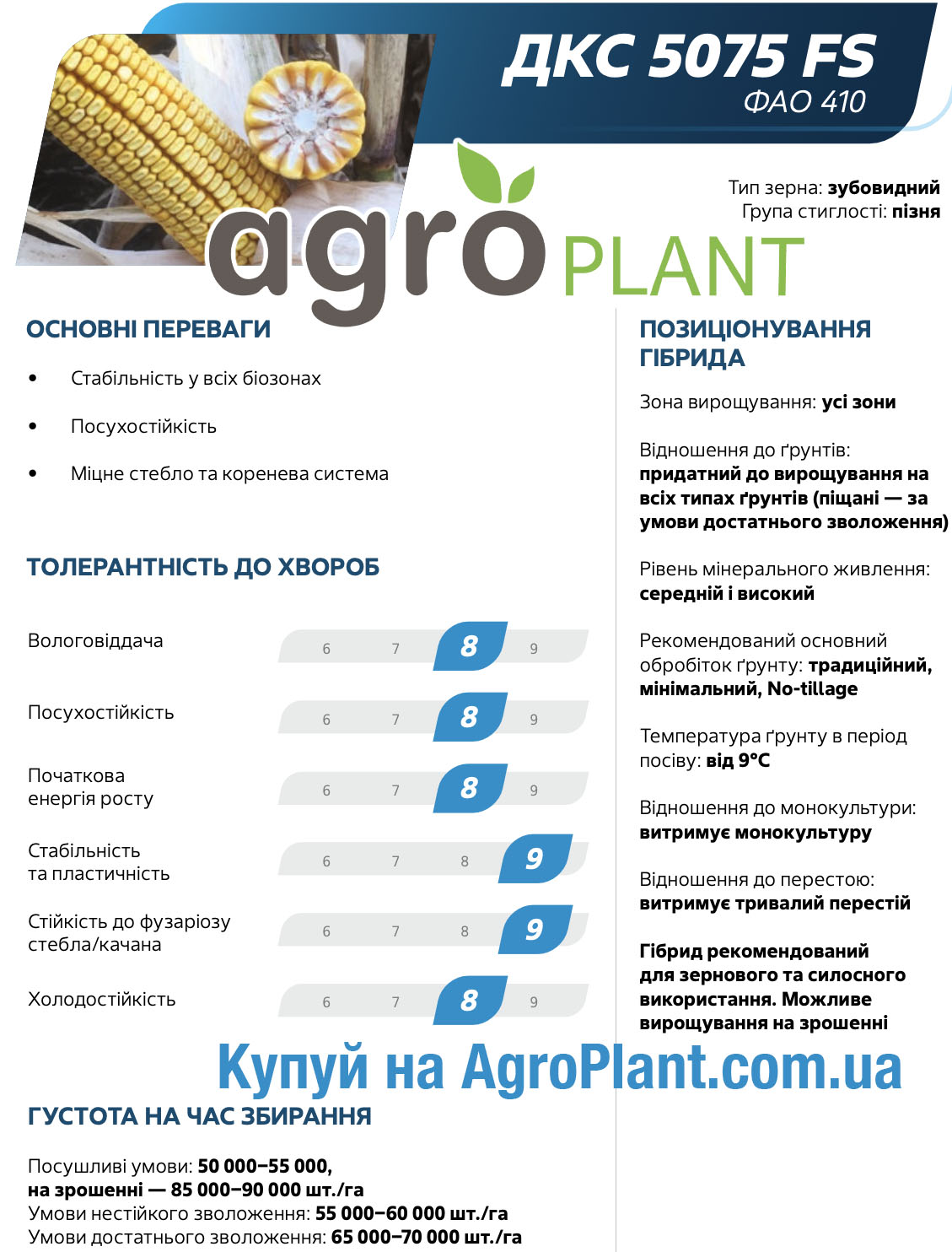 Кукурудза ДКС 5075 Монсанто