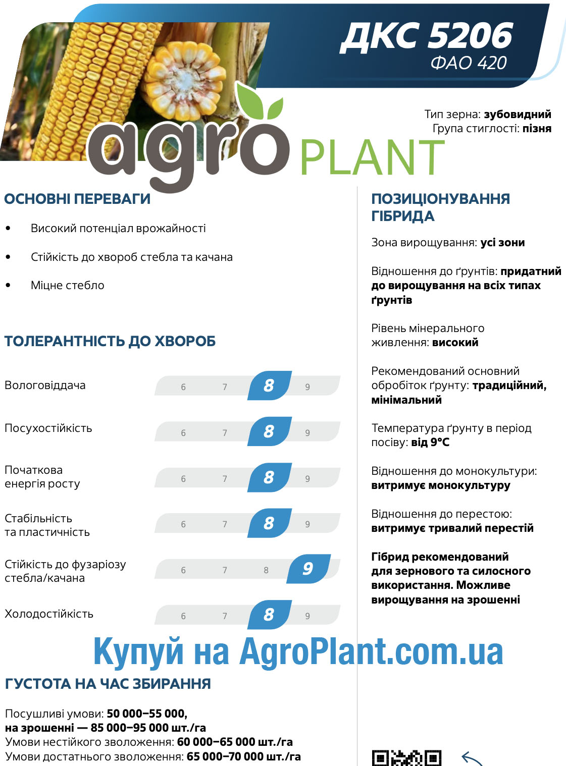 Насіння кукурудзи ДКС 5206 Монсанто