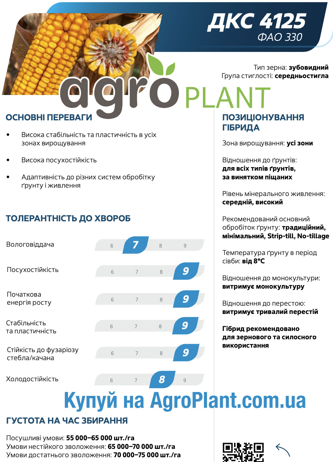 Кукурудза ДКС 4125 Монсанто