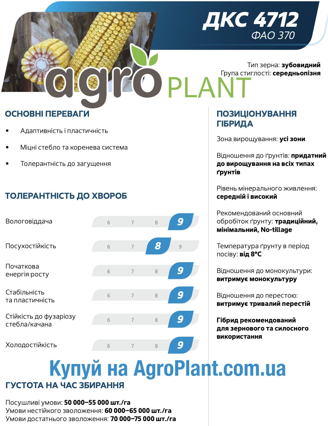 Кукуруза ДКС 4712 Монсанто