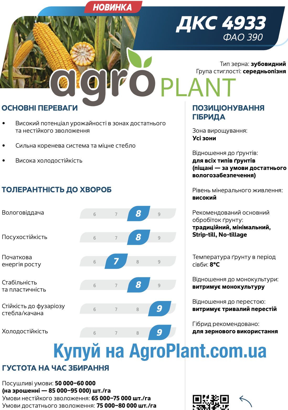 Кукурудза ДКС 4933 Монсанто