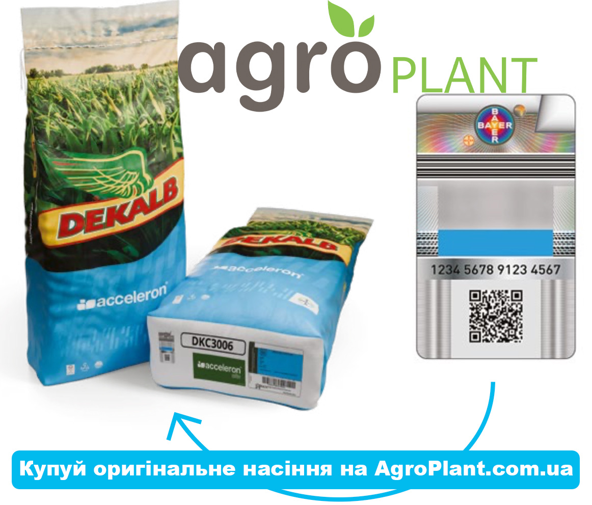 Насіння кукурудзи Монсанто (DEKALB) Байєр Насіння кукурудзи Монсанто (DEKALB) Байєр