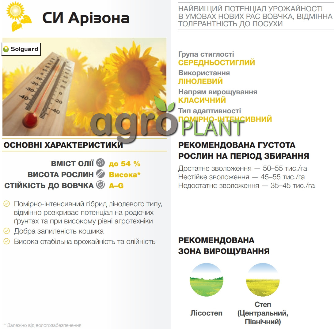 подсолнечник Аризона Сингента