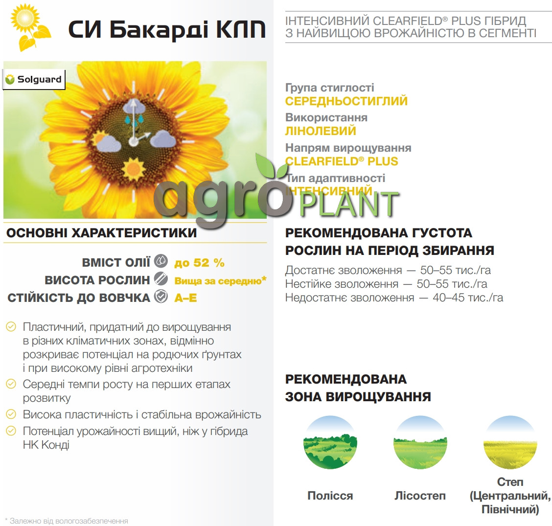 соняшник Бакарді Сингента