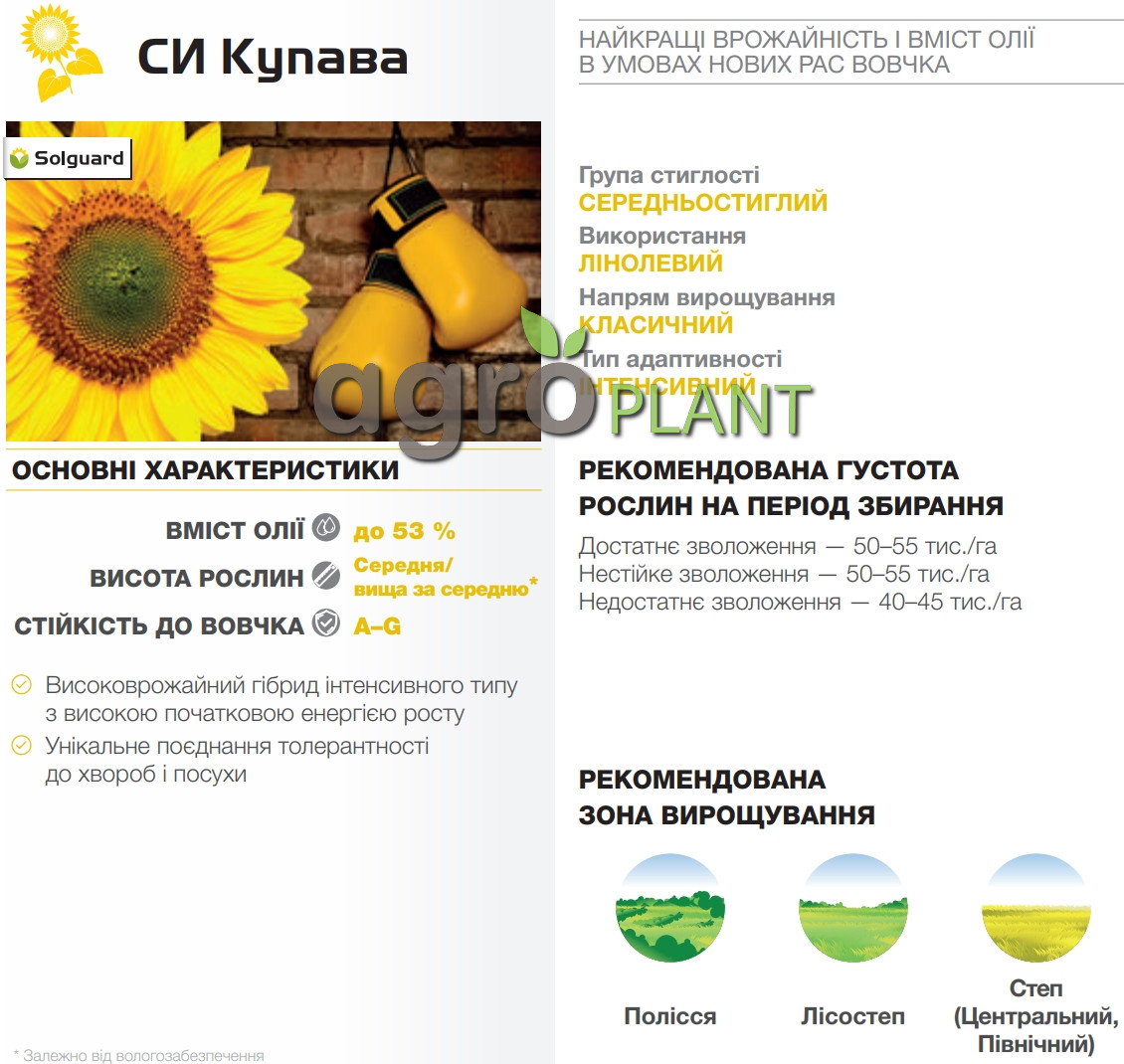 подсолнечник Купава Сингента