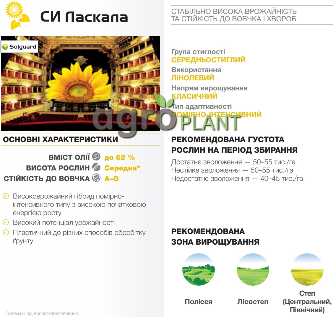 соняшник Ласкала Сингента
