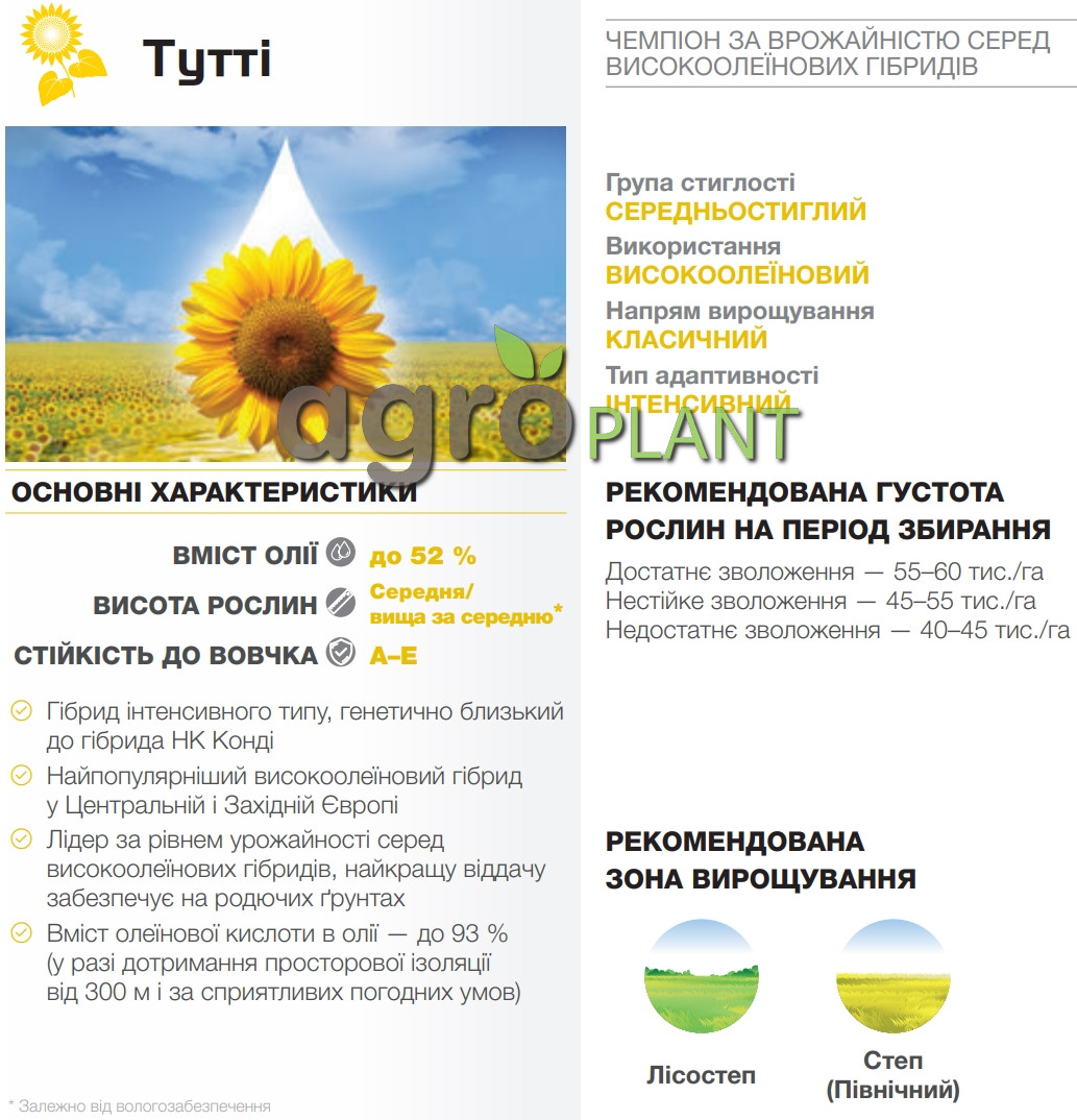 соняшник Тутті Сингента