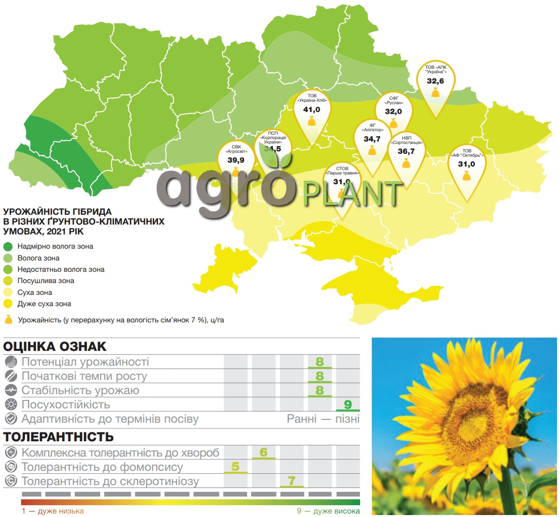 Врожайність соняшника Барбаті Сингента