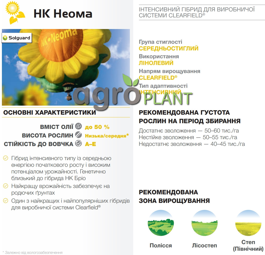 соняшник Неома Сингента