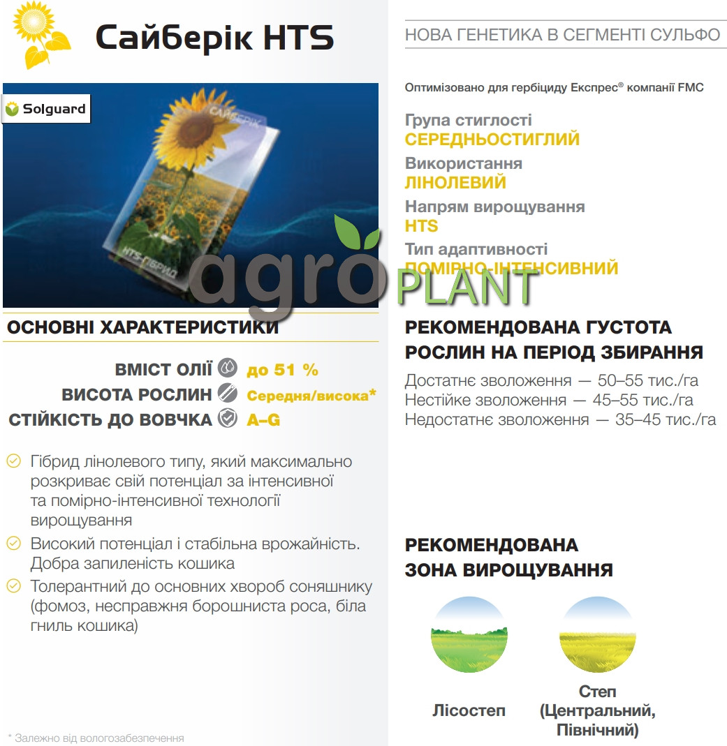 характеристики соняшника Сайберік Сингента