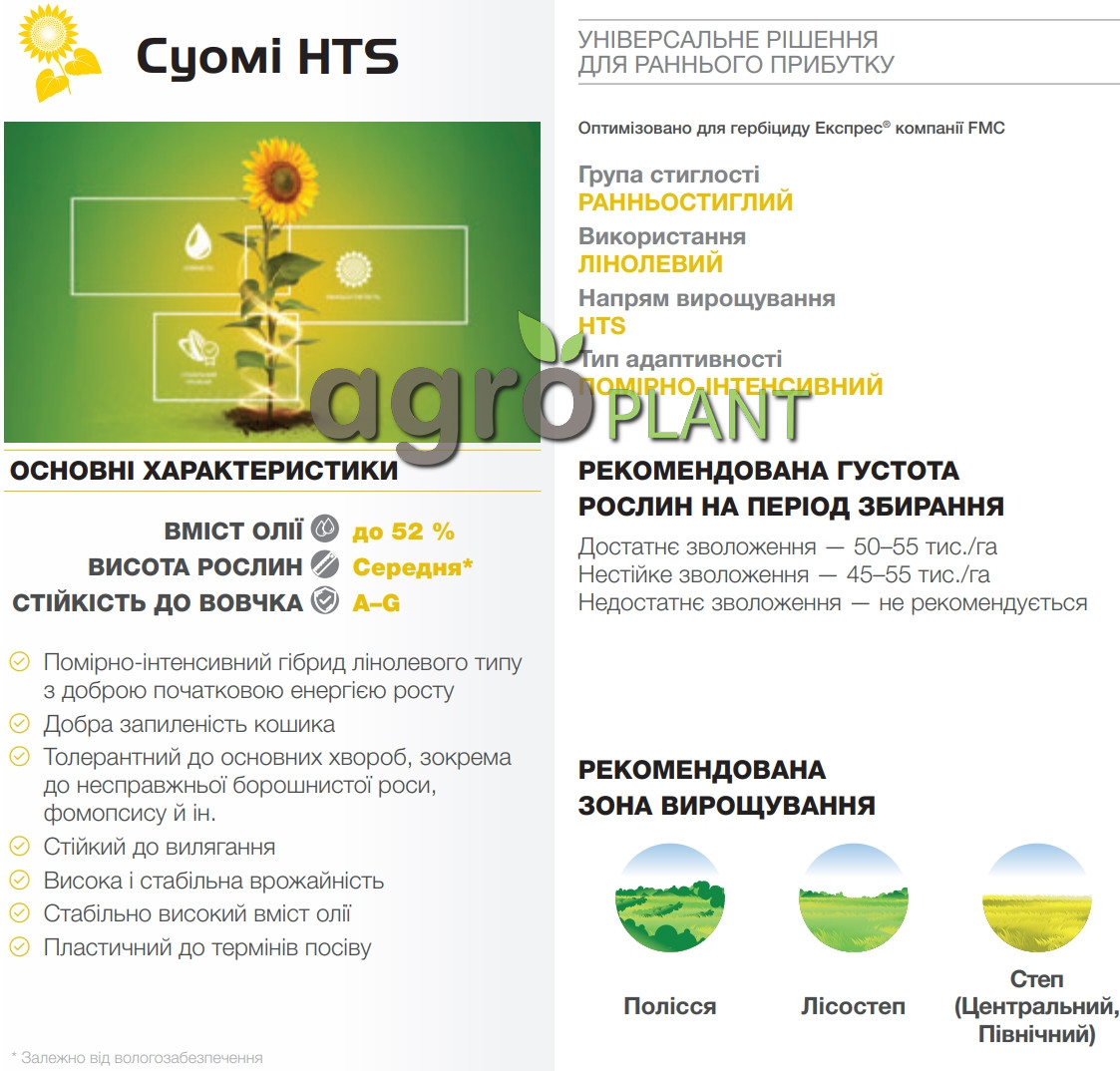 соняшник Суомі Сингента