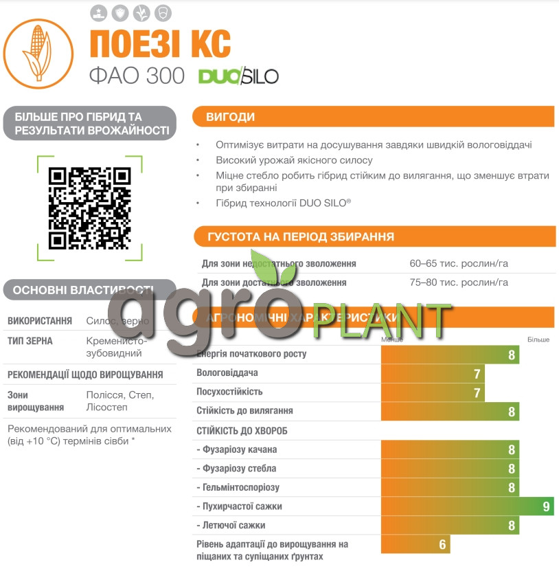 Информация о кукурузе Поэзи из каталога Лидеа / Lidea