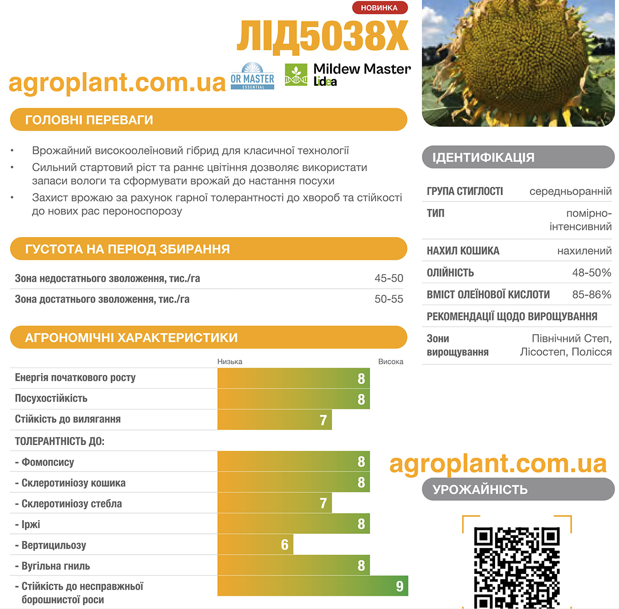 Соняшник ЛІД 5038 Х характеристики