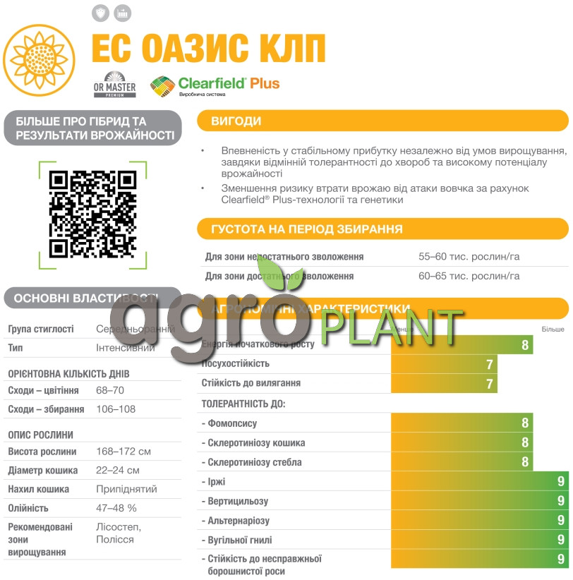 Информация о подсолнечнике Оазис из каталога Лидеа / Lidea