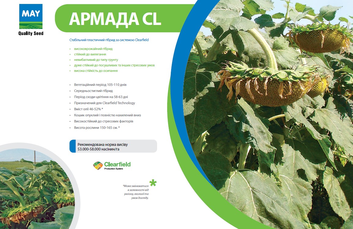 Cемена подсолнечника Армада СL