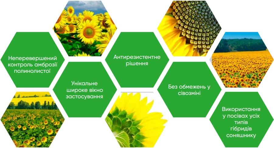 Гербицид Гелиантекс рекомендации