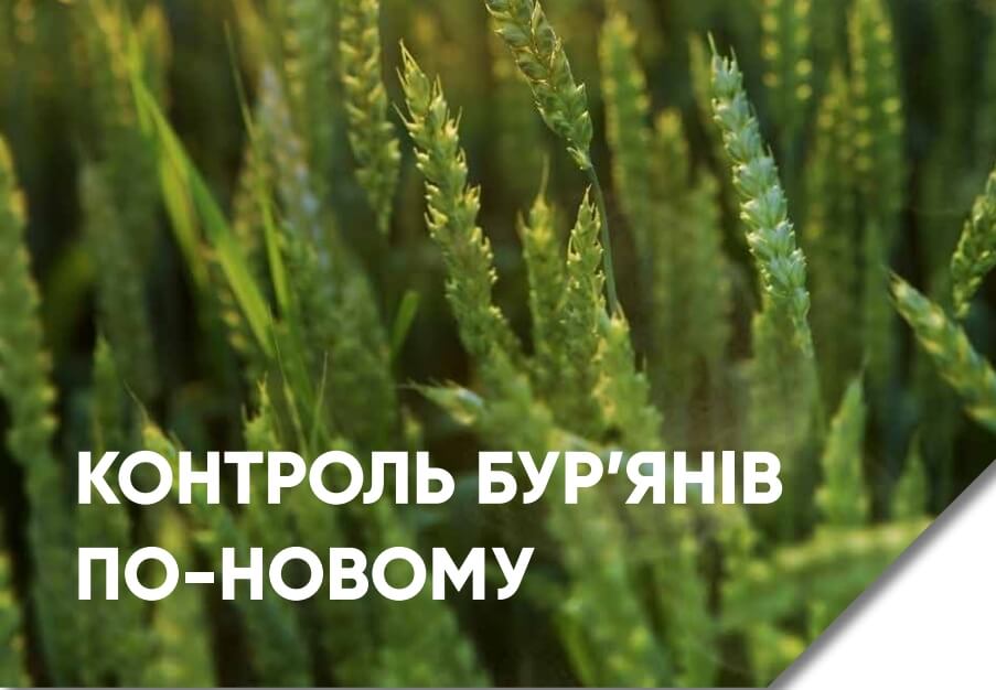 Гербицид Квелекс для зерновых - пшеницы и ячменя