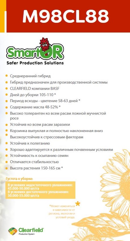 Семена Подсолнечника М98КЛ88