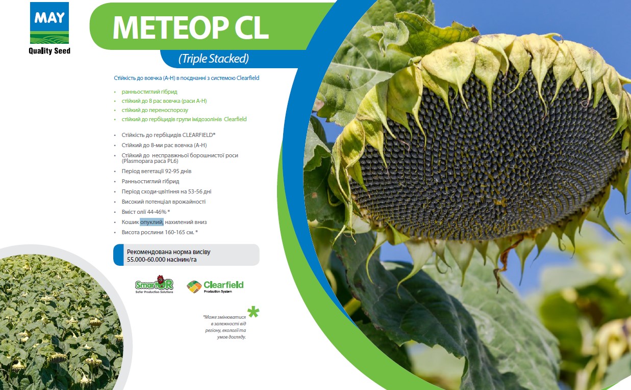 Соняшник Метеор CL
