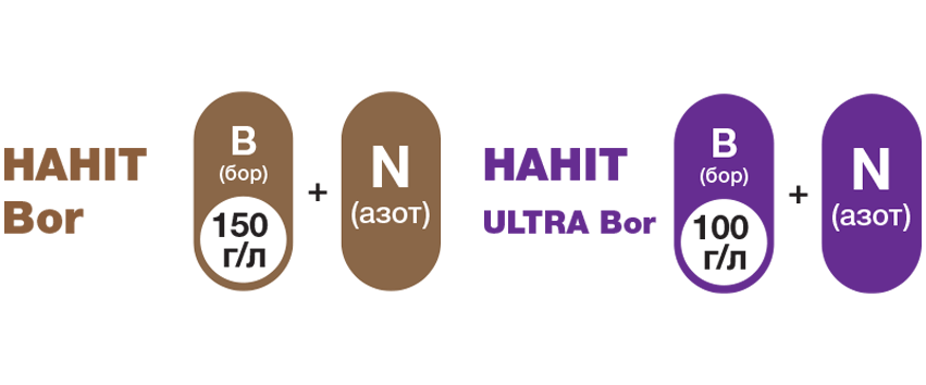 Наніт Ультра Бор / Ultra Bor склад