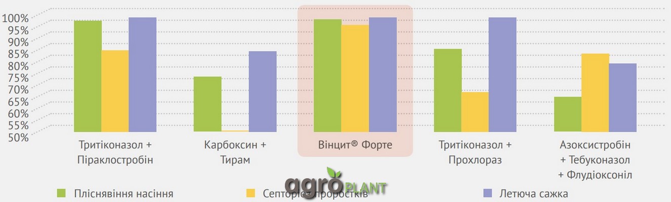 Ефективність протруйника Вінцит Форте проти інфекції насіння та хвороб сходів озимої пшениці
