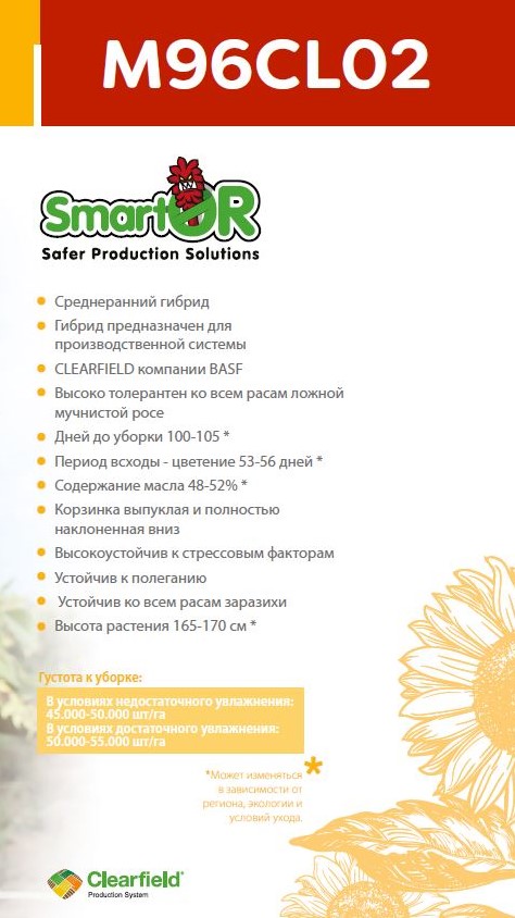 Насіння Соняшнику М96КЛ02