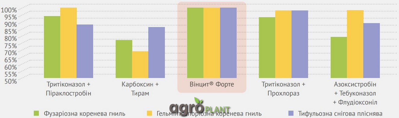 эффективность Винцит форте против инфекций и заболеваний лестницы озимой пшеницы