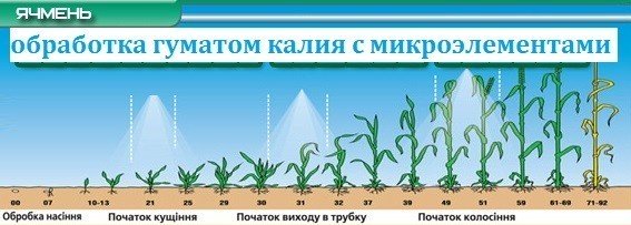 обработка зерновых гумат калия с микроэлементами