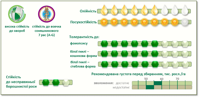 Характеристики насіння соняшнику Піонер ПР64Г34