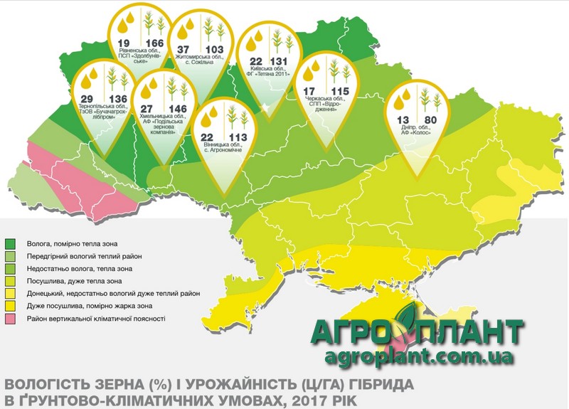 Фактична урожайність кукурудзи Фотон в Україні