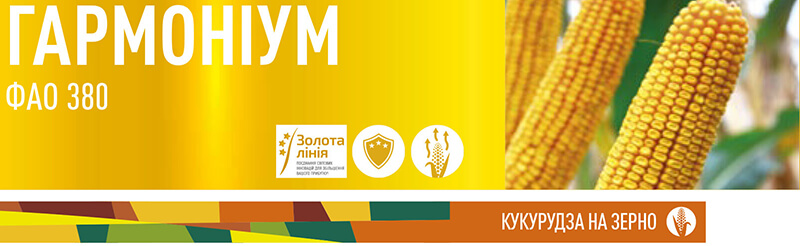 Семена кукурузы ЕС Гармониум