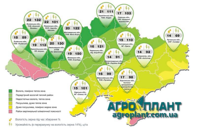 Фактическая урожайность кукурузы Телиас в Украине