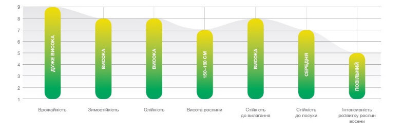 Агрономические характеристики рапса Мартен