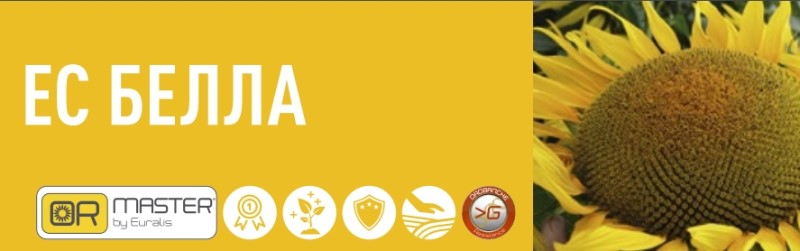 Семена подсолнечника Белла Евралис Семена подсолнечника Белла Евралис