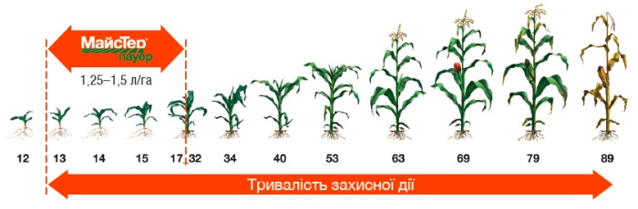 Норма витрати і застосування МайСтер Пауер