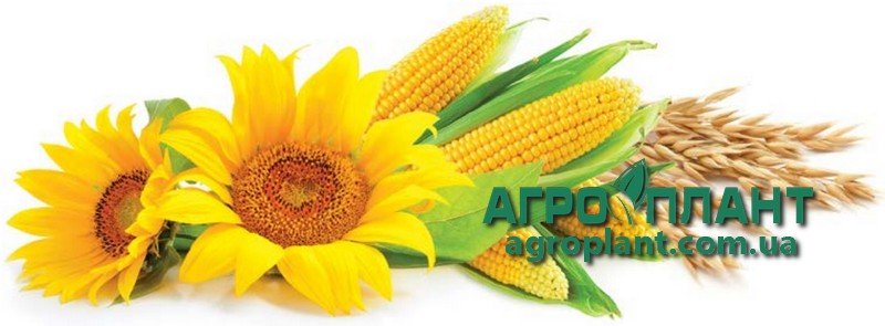 Купити Нертус Старт - добриво для соняшника, кукурудзи, пшениці, ячменю
