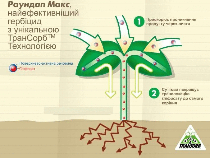 Раундап макс Трансорб технология